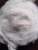 Import Wholesale Top Grade Precious Cashmere Material White Color Roving Dehaired pashmina Fiber from China