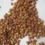 Import wholesale top grade red Grain Sorghum Price from USA