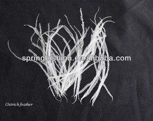 Wholesale white ostrich feather