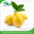 Wholesale yellow Fresh Eureka lemon fruit from china supplier export price