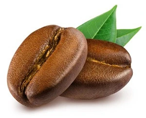 Wholesaler Arabica Roasted coffee beans