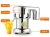 Import With CE Approval Electric Multifunctional Stainless Steel Commercial Juicer Machine Juice Extractor from China