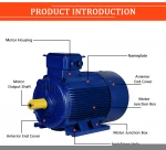 YE3-355L3-6P-315KW 995RPMThree phase induction motor three phase AC motor motor400V/440V