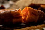 Yunxi sweet potato artificially cultivates sweet glutinous and delicious sweet potato