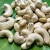 Import Cashew nuts: W320, 240, 210, WS, LP,SWP, BB from South Africa