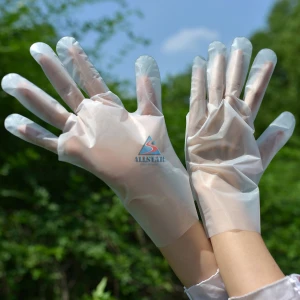 Cleaning Painting Use Disposable CPE PE Hand Gloves for Atelier