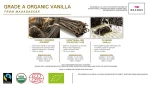 Grade A Organic Vanilla Pods from Madagascar