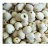 Import Dried Lotus Seed High Quality from Vietnam