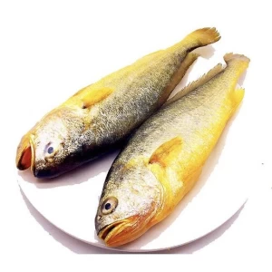 Wholesale price Fresh Frozen Yellow Croaker Fish