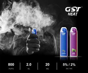 Disposable Vape Gst Neat 800puffs with Cotton Coil Mesh Coil Unique Design and 2.7ml Pod