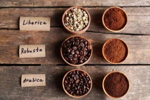 100% Robusta and arabica Coffee Beans - Wholesale - Green or Roasted