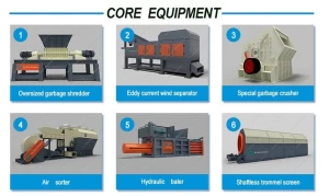 Domestic Waste Process and Recycle in China