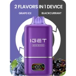 Wholesale IGET MOVE B50000 Grape Ice Blackcurrant Spain 18ml 10000 Puffs Regular 6000 Turbo Mode Low Price