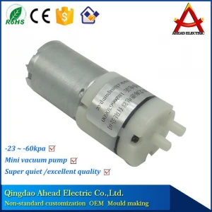 2L DC12V high pressure mini air vacuum pump