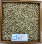 Vietnam Arabica Coffee – Washed SC 18
