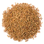 Premium Quality Alfalfa Seed - Medicago Sativa Seed - Alfalfa Hay Animal Feeding Alfa