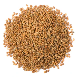 Bulk Alfalfa Seeds High Nutrition Alfalfa Seeds Best Choice For Farmers Looking For Healthy Animal Feed Supply