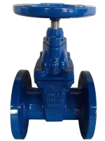 DIN non-rising stem resilient seatd gate valve from China