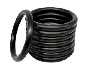 O-ring