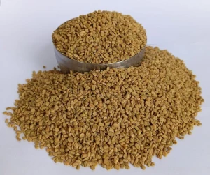 FENUGREEK SEEDS