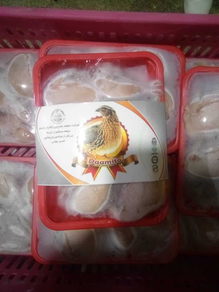 Buy Frozen Quail Meat from Daamito, Iran