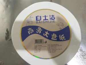 Bai Shijie Large Plate of Paper