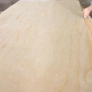 shuttering plywood osb board 18 mm film faced plywood/formwork plywood