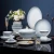 Import Gradual Color Tableware Bone China Complete Set for Household Hotel from China