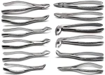 Dental Tooth Extraction Plier Adult Size
