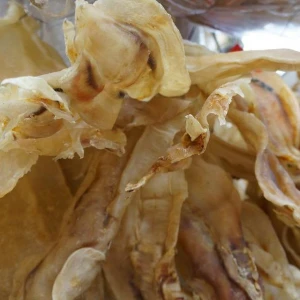 Best Price Dried Fish Maw High Quality From Tanzania Tradewheel Com