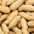 Import Peanut without shell Wholesale Peanuts Organic Peanut Kernels Best Price Raw Peanuts Peanuts Raw In Shell High from Malaysia