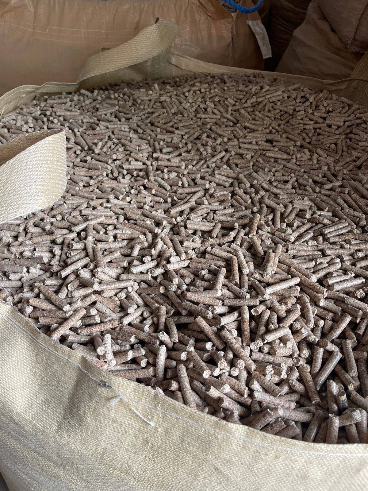 Buy Wood Pellets from E2O, Egypt