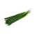 Import Top grade Chives for food use from South Africa