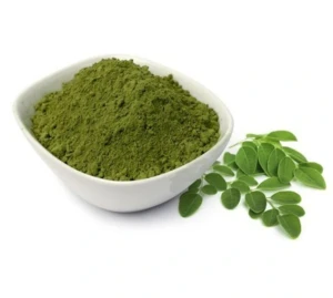 Manufacturer Supply Natural Moringa Leaf Extract Moringa Oleifera Powder