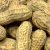 Import Peanut without shell Wholesale Peanuts Organic Peanut Kernels Best Price Raw Peanuts Peanuts Raw In Shell High from Malaysia