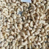 Cashew nuts: W320, 240, 210, WS, LP,SWP, BB