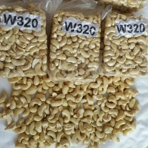 Cashew Nut/Cashew Nut Kernels/W240/W320