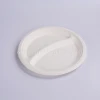 Biodegradable disposable China Sugar Cane Bagasse White Pulp Birthday Paper Plate For Environmental