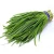 Import Top grade Chives for food use from South Africa