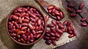 Quality White Kidney Beans Red Kidney Beans Speckled Kidney Beans Haricot Beans