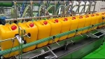 Corn oil