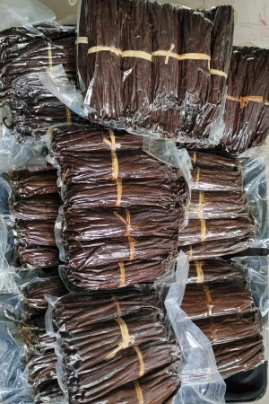 Vanilla Beans Planifolia Grade A- Bulk Supply up to 20 MT