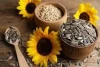 Supply Attractive Price Kernels Chinese Price Sunflower Seeds