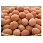 Chicken Hatching Eggs for sale