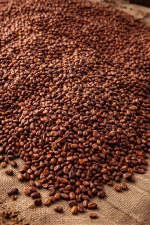 (Colombian cocoa beans - 15,000 KG - CIF Barcelona - Industrial grade - Bulk supplier