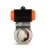 Import Sanitary Pneumatic Butterfly Valve with actuator from China