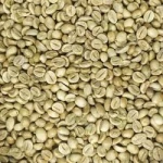 Robusta Dampit Green Bean Coffee