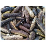 High Grade Wholesale Sea Cucumber Dried Sea Cucumber