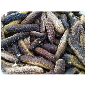 High Grade Wholesale Sea Cucumber Dried Sea Cucumber