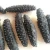 Import %100  High quality dried sea cucumber buyer in Canada, best price sea cucumber dried for sale/dried sea cucumber from Philippines
